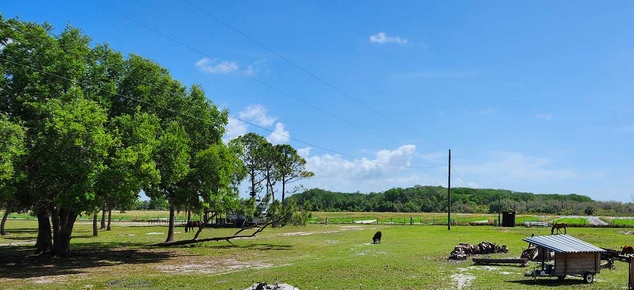 Sweetpea's Pastures