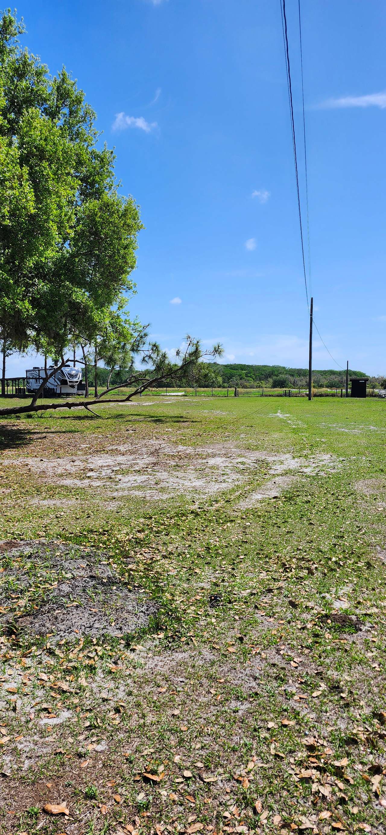 Sweetpea's Pastures