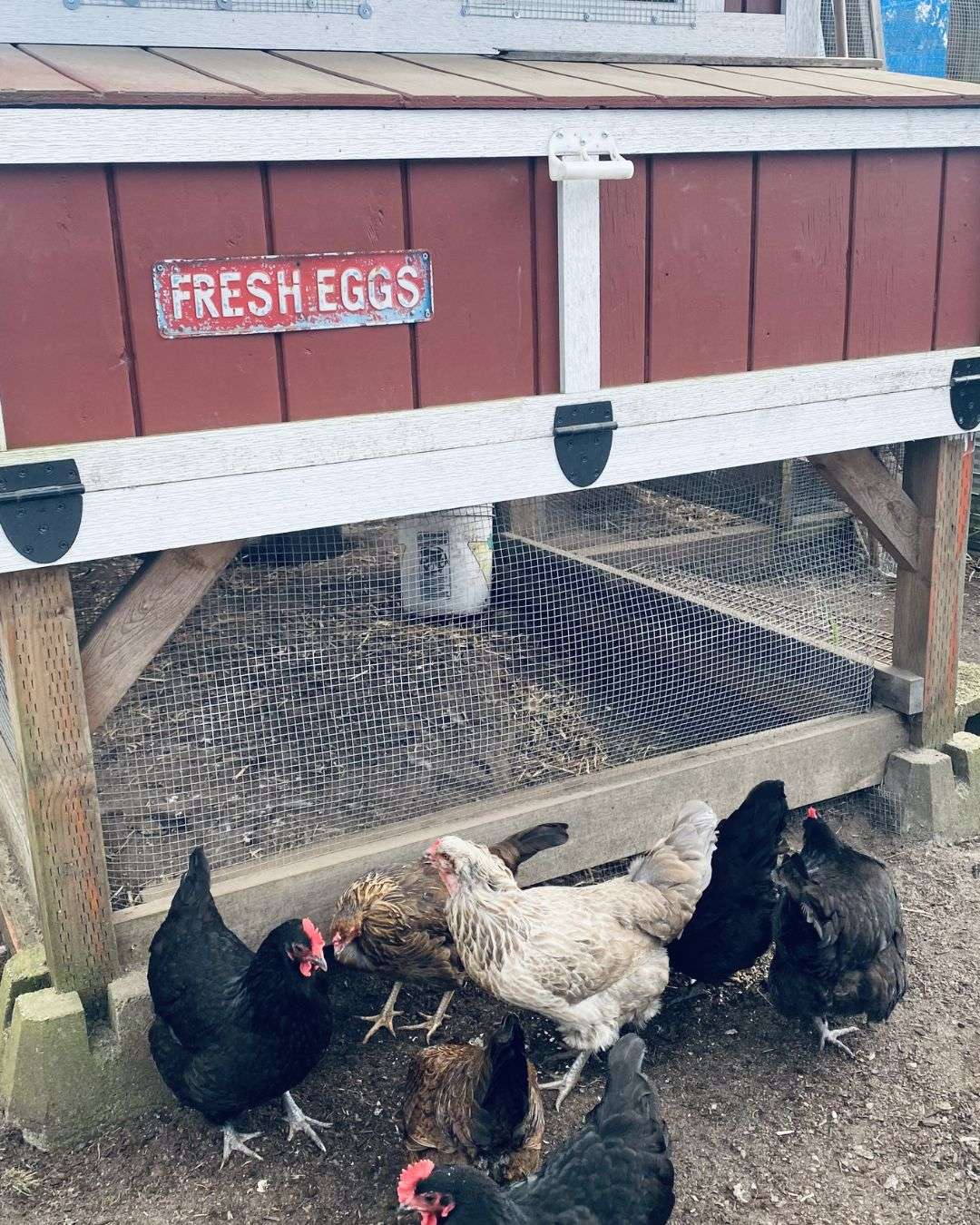 Homestead Helpers