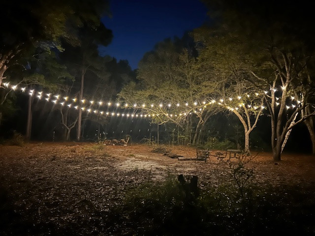 Too Many Oaks Plantation