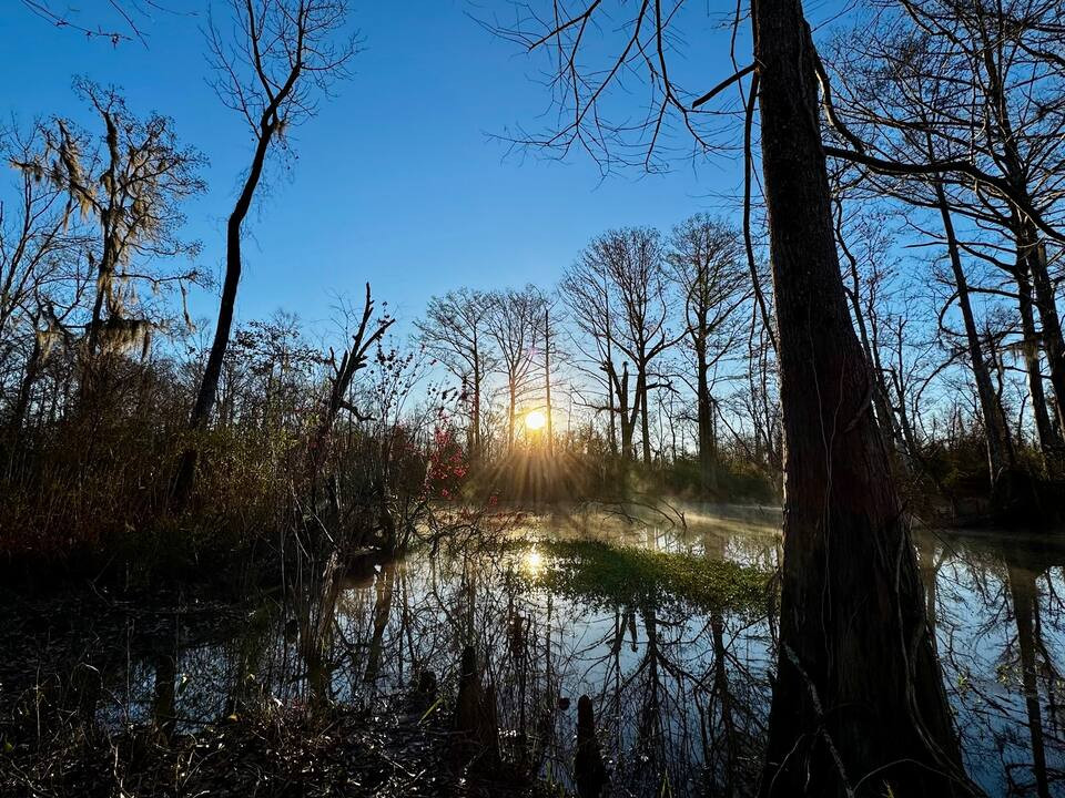 Lulu’s Louisiane Swamp Camp