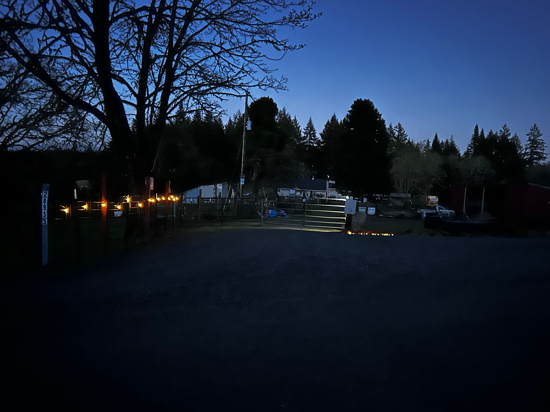 Dorcas Hamlet