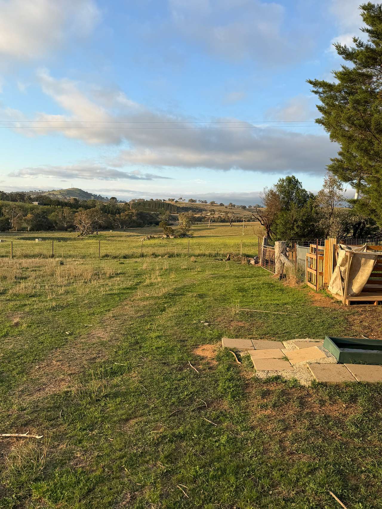 Corella Farm