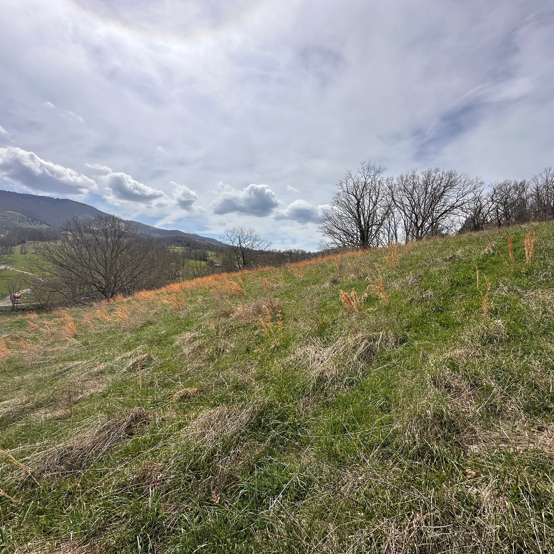 Whispering Creek Preserve