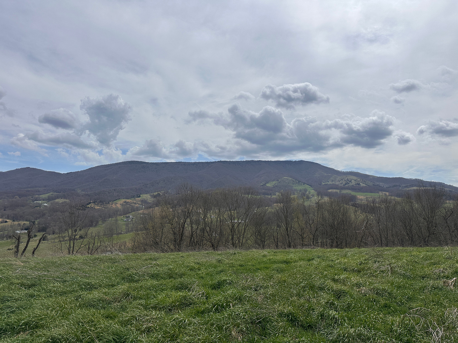Whispering Creek Preserve