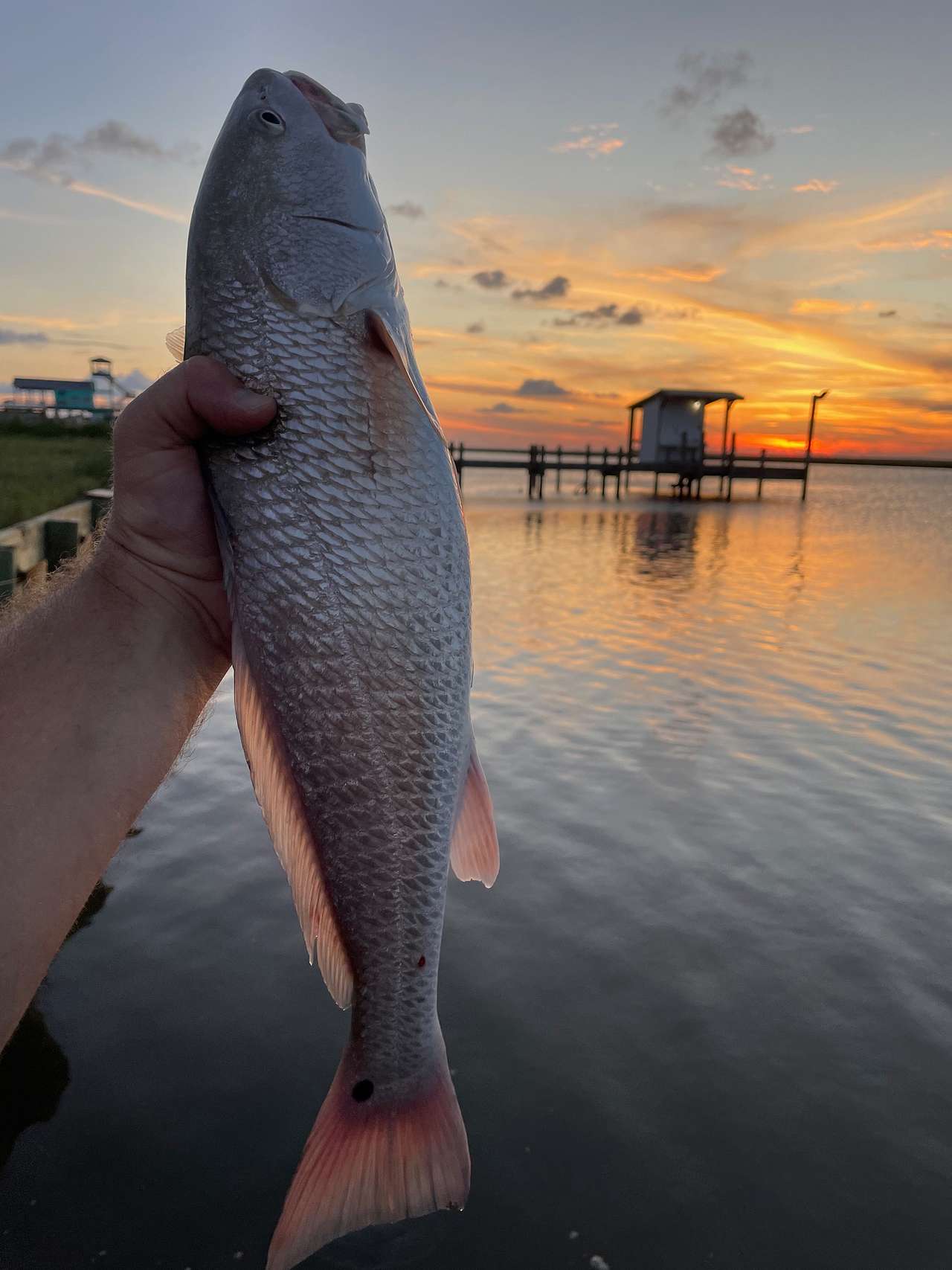 Blue Crabs RV Spot