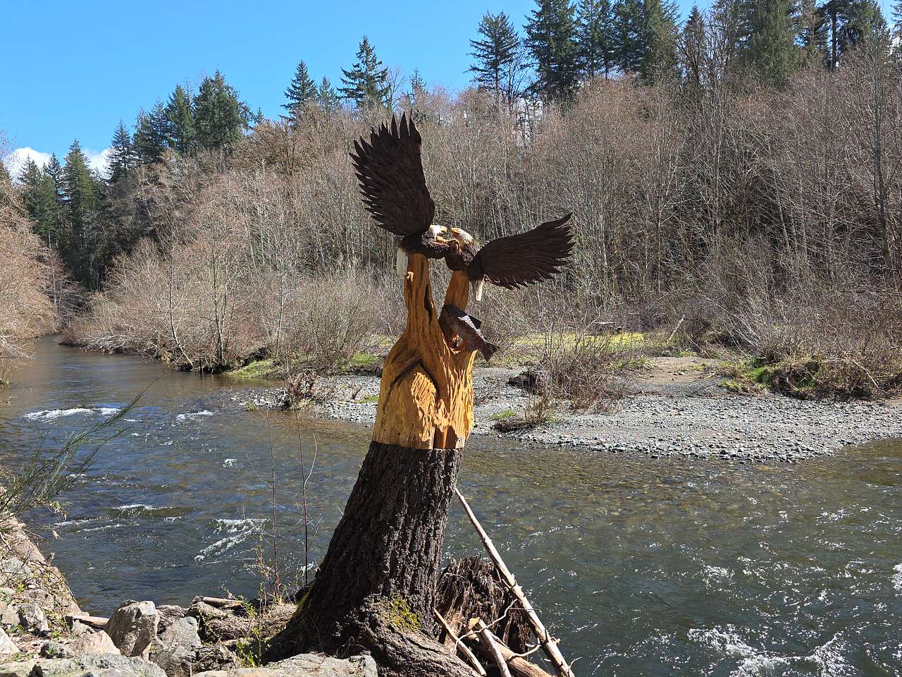 Tahuya River Lodge Campground