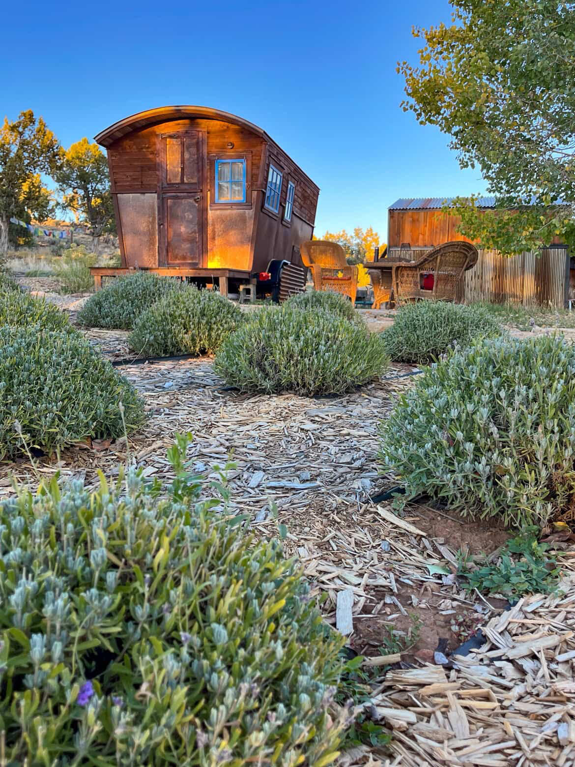 Lavender Farm Bed and Breakfast