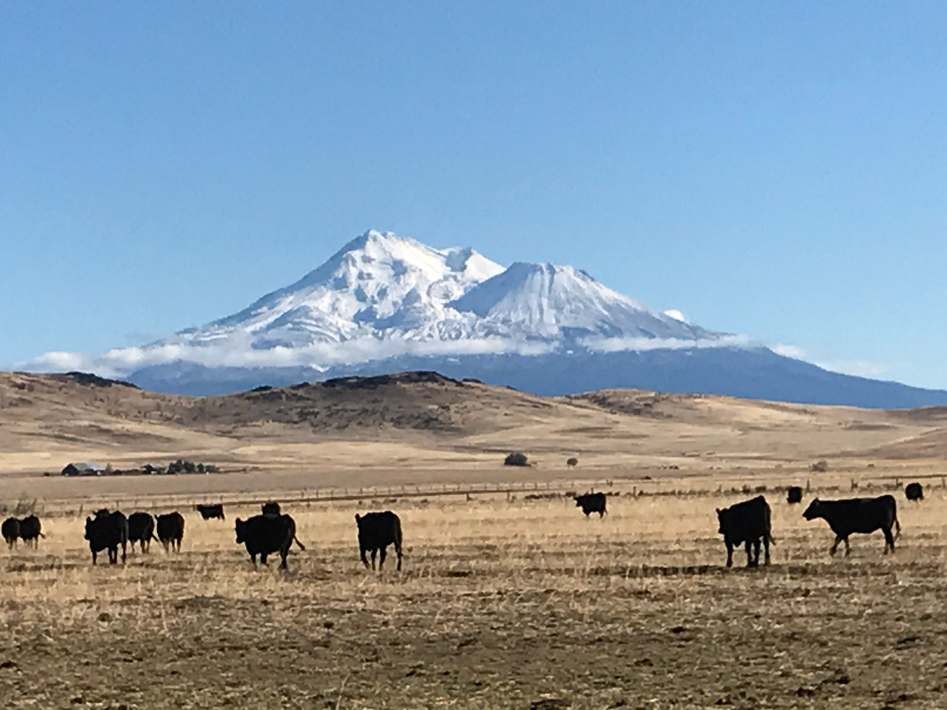 Crookedhouse Ranch in Shasta Valley