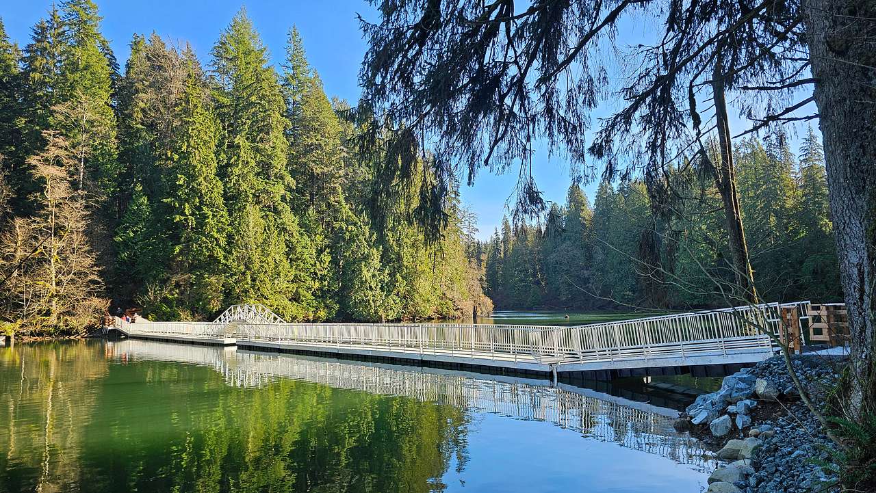 Hayward Trails Camping