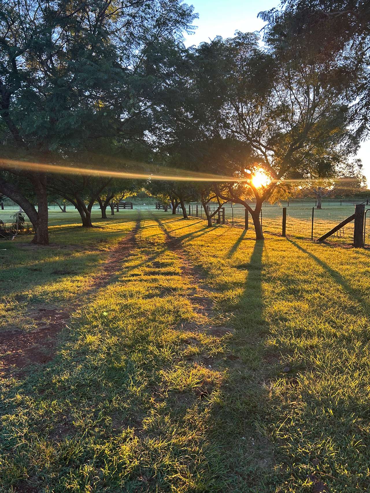 Maple Acres
