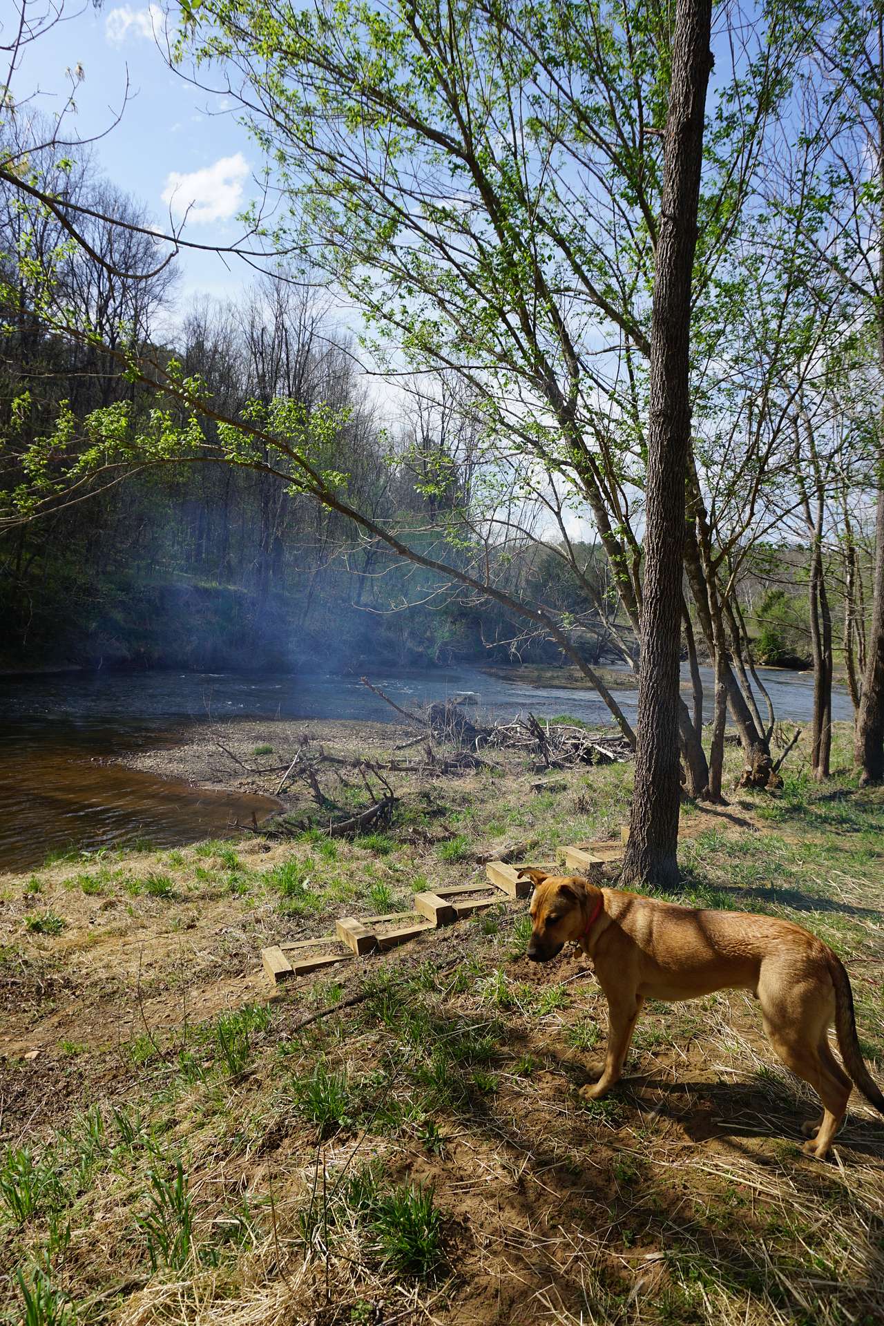 Rockfish River Landing
