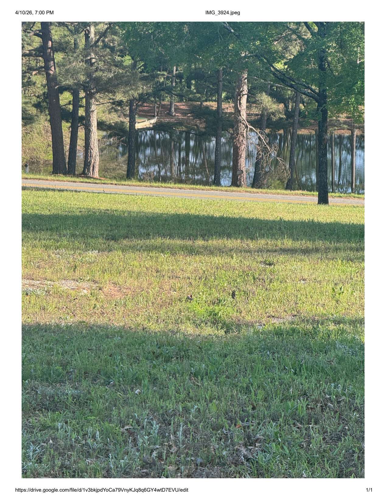 Hwy 84 RV