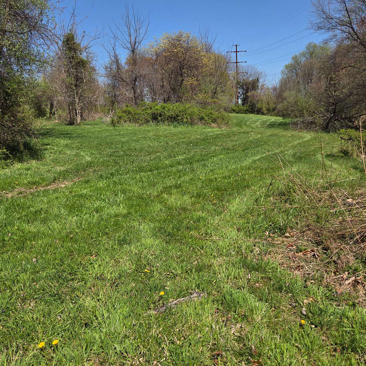 Tucked Away Acres