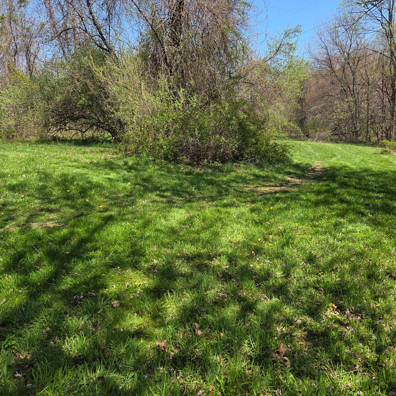 Tucked Away Acres