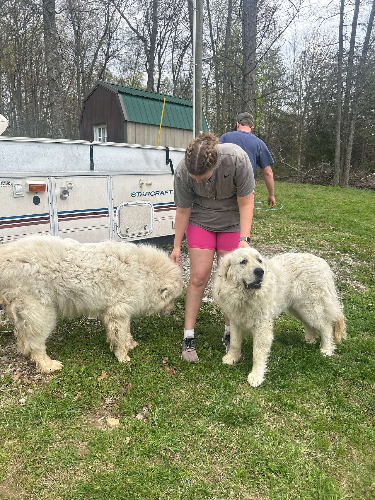 Rockytop Family Farms