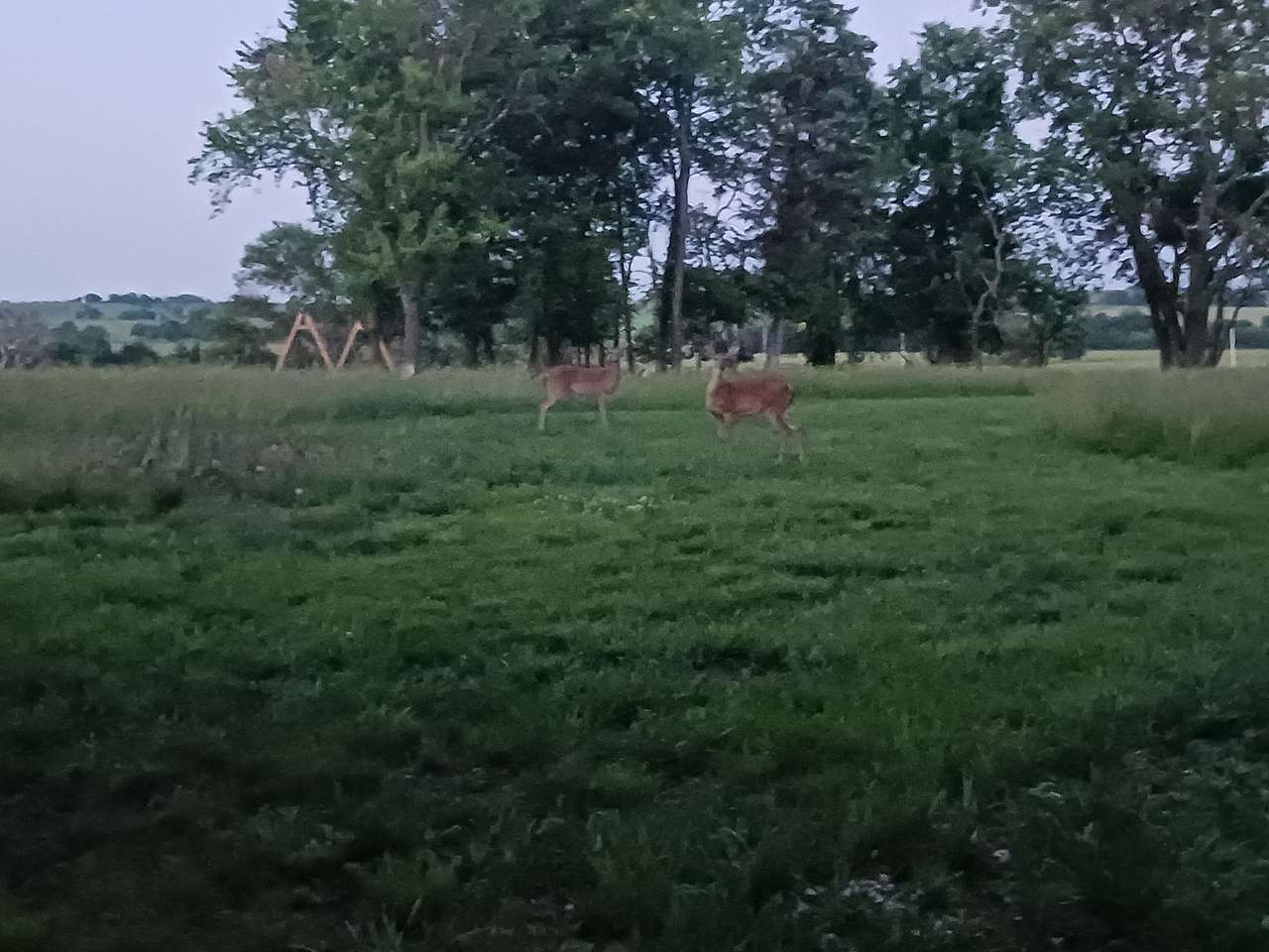 Foxbat Prairie Retreat