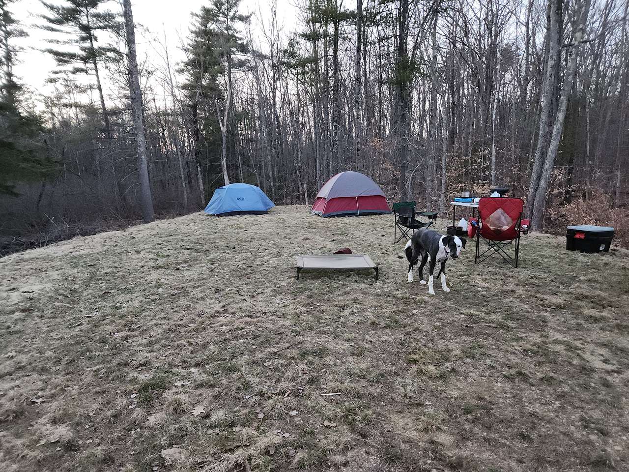Homestead Farm Retreat
