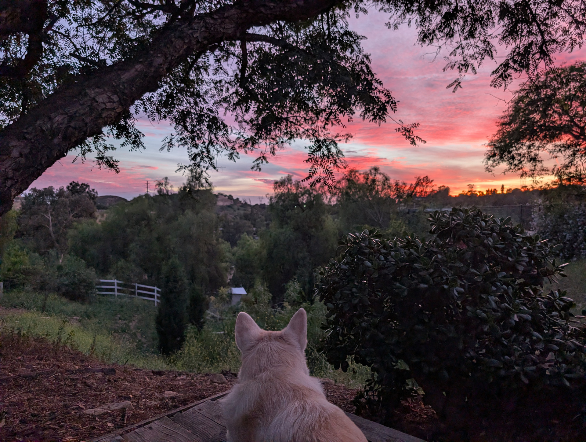 sunset views with one of the stewards of the land