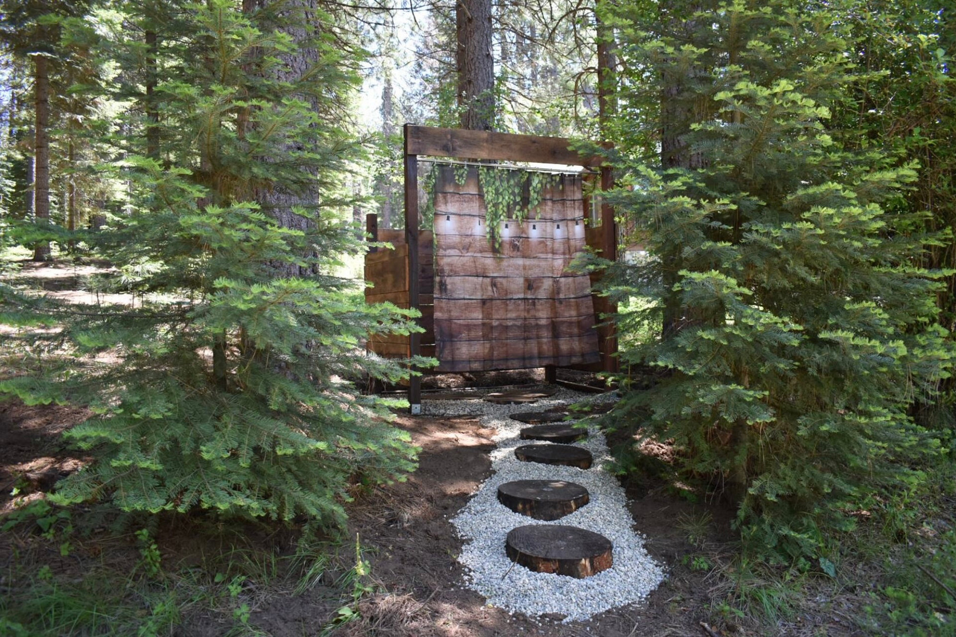 The Healing Dome