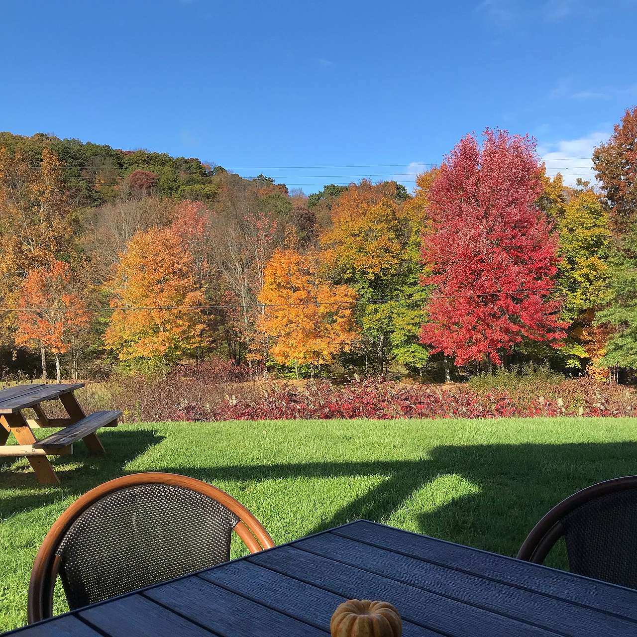 Meadow on the Casselman Riviera