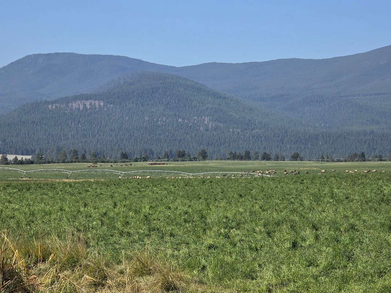 Geary Brothers Ranch