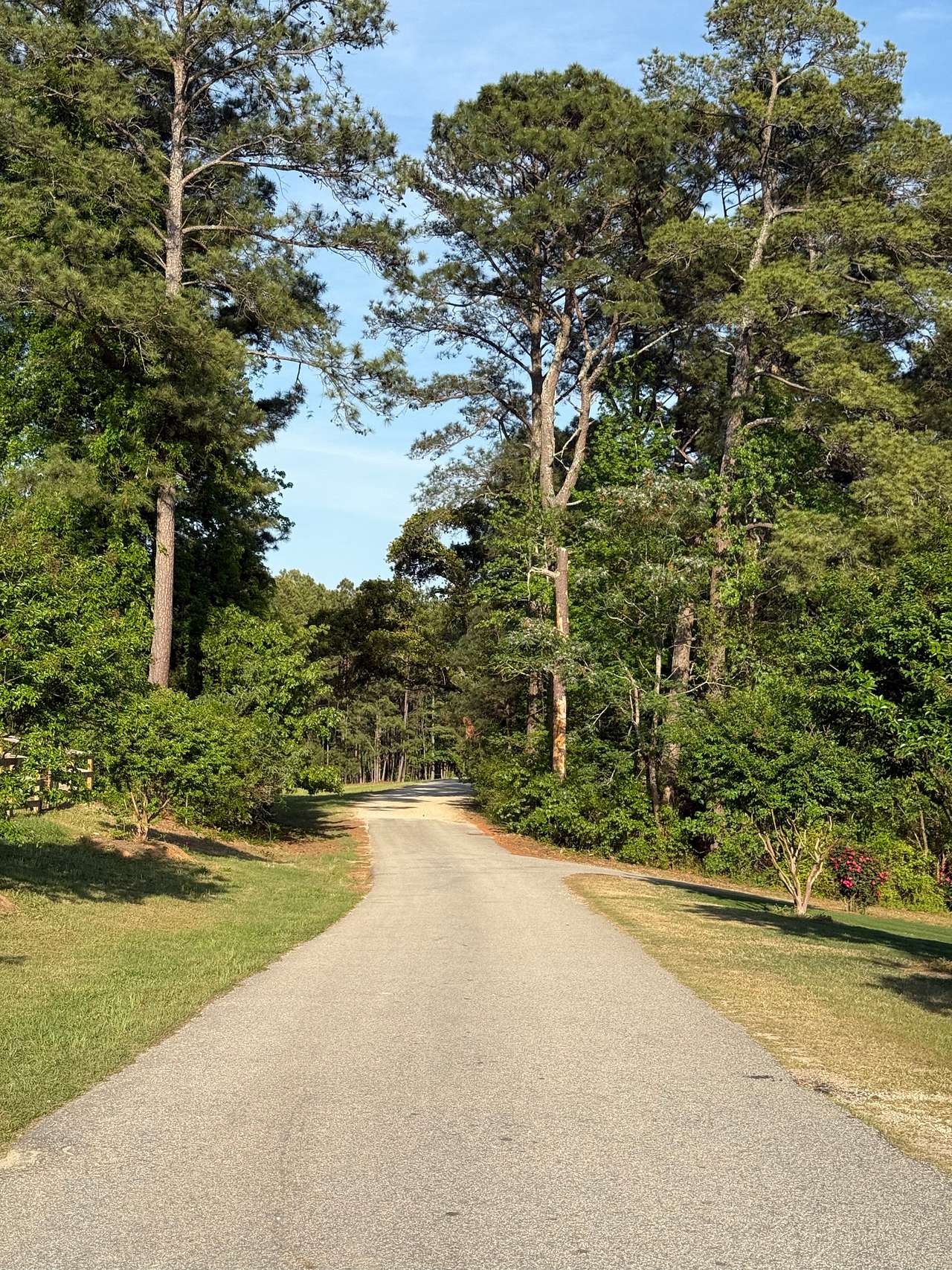 Entrance down the long dusty path to the property.