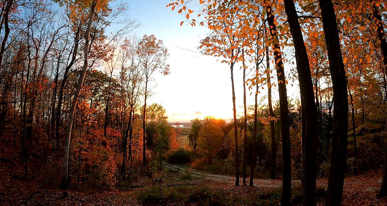Willow Hill