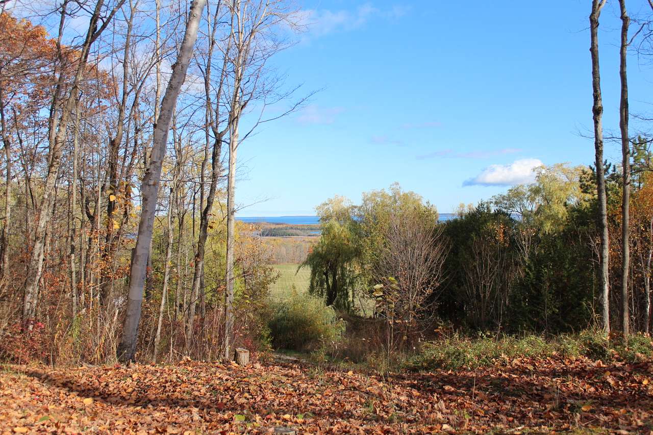 Willow Hill