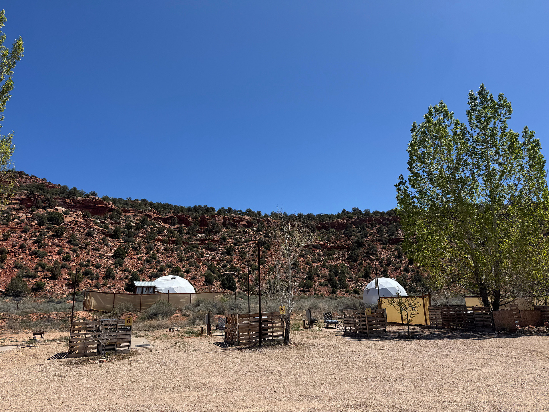 Desert Bloom Campground