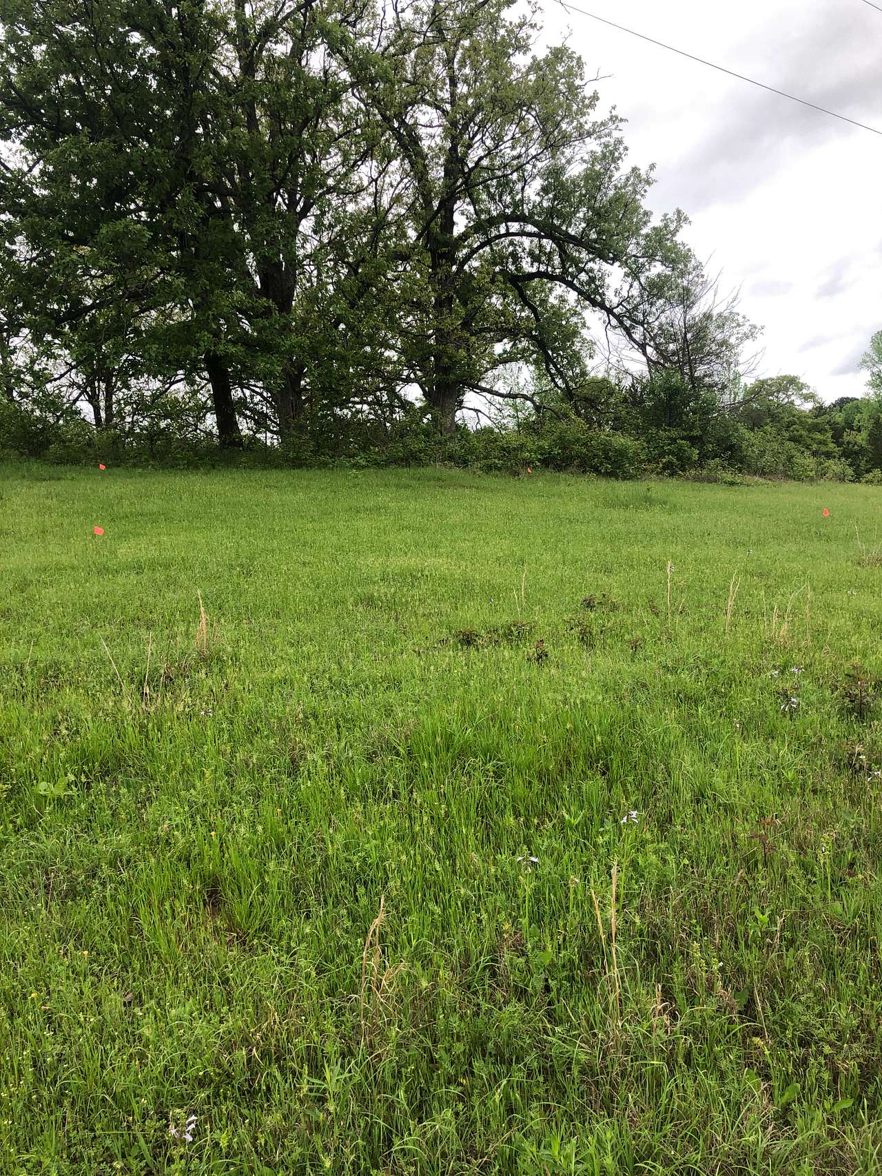 Rolling Oaks Campground