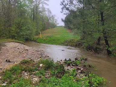 Out Beyond the Creek