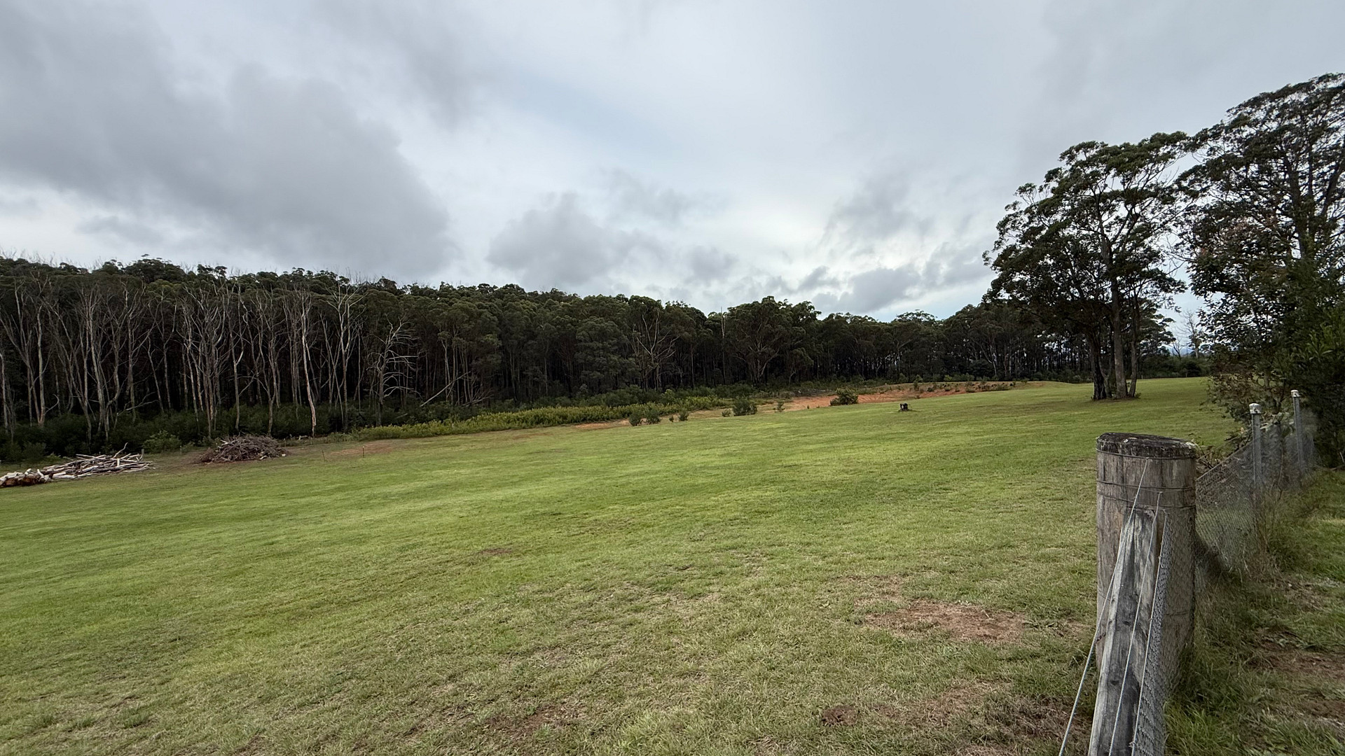 Plantation Gully