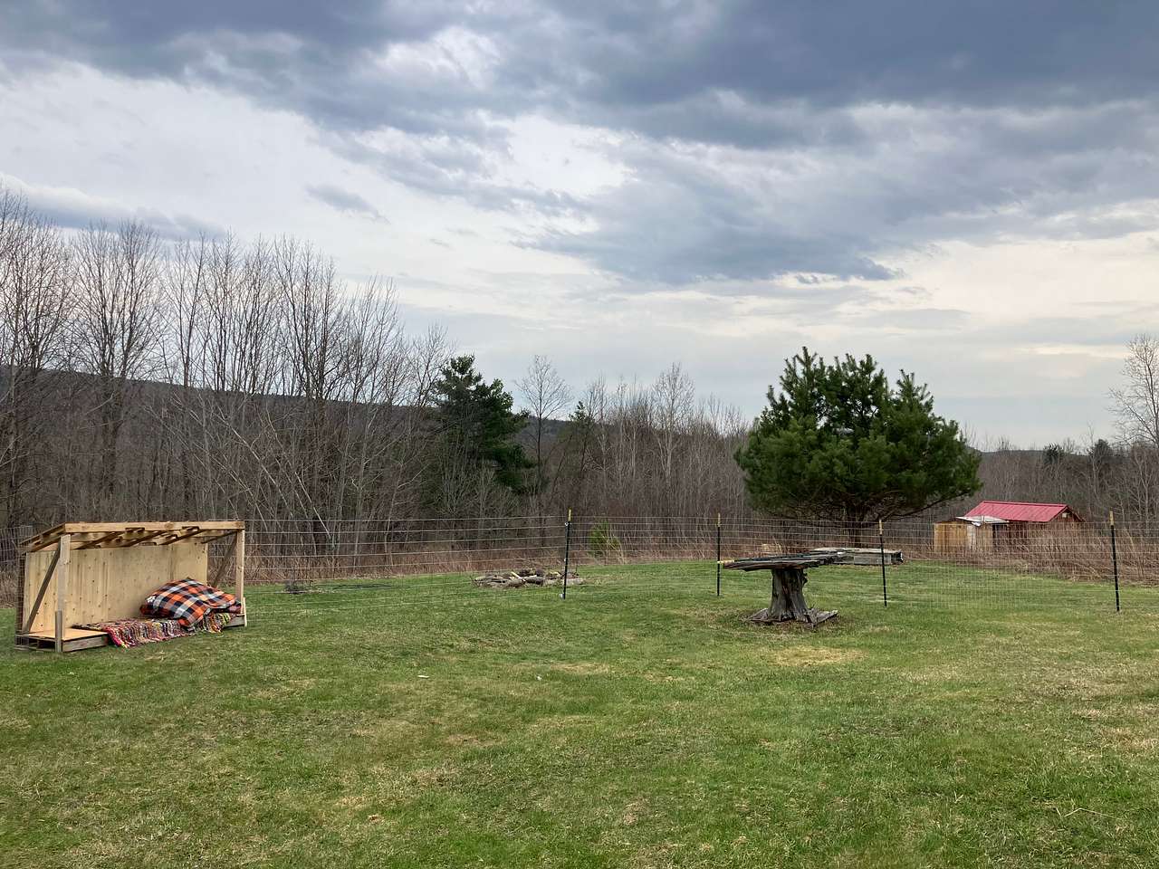 Firefly Farms
