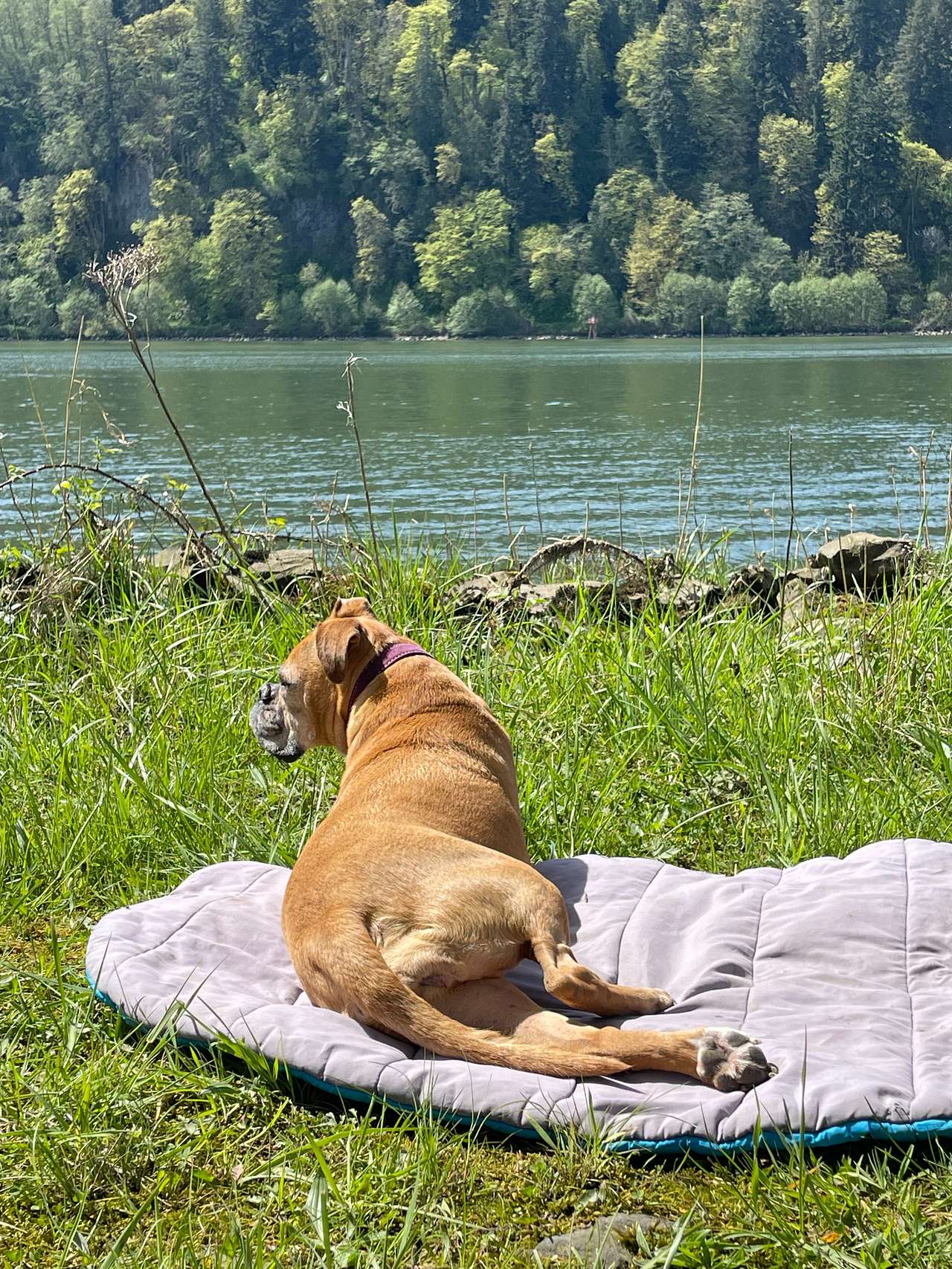 Columbia River Camping