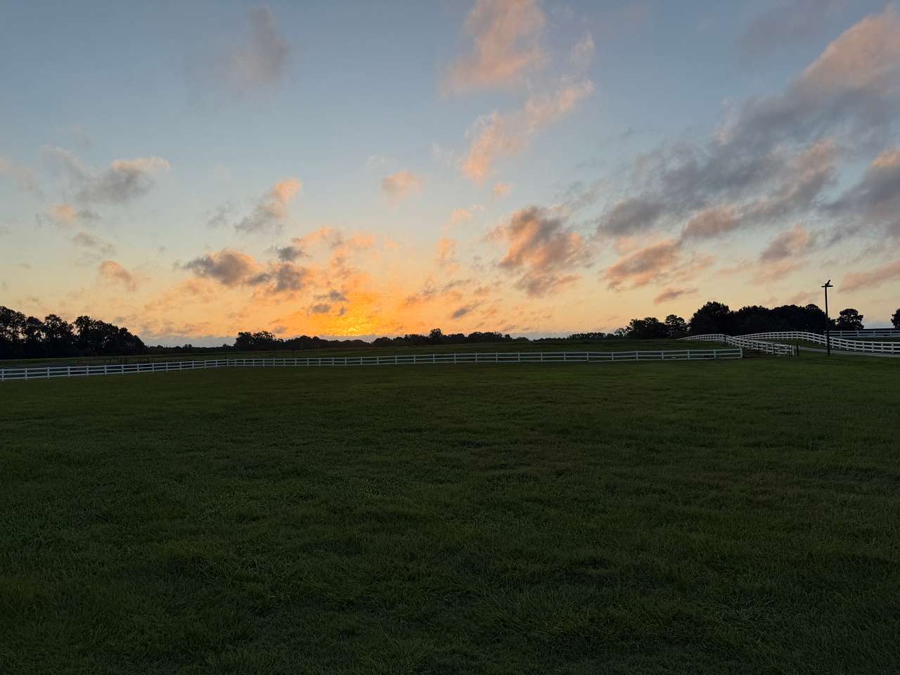 Horse Ranch-a short drive from 95