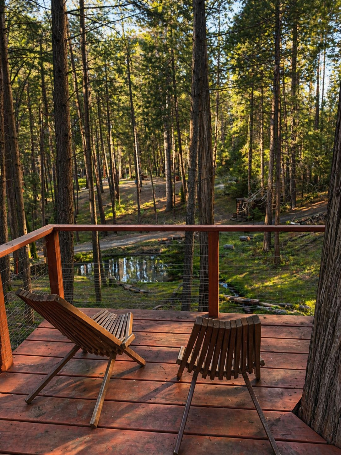 Unplug for nature, dogs, and kids