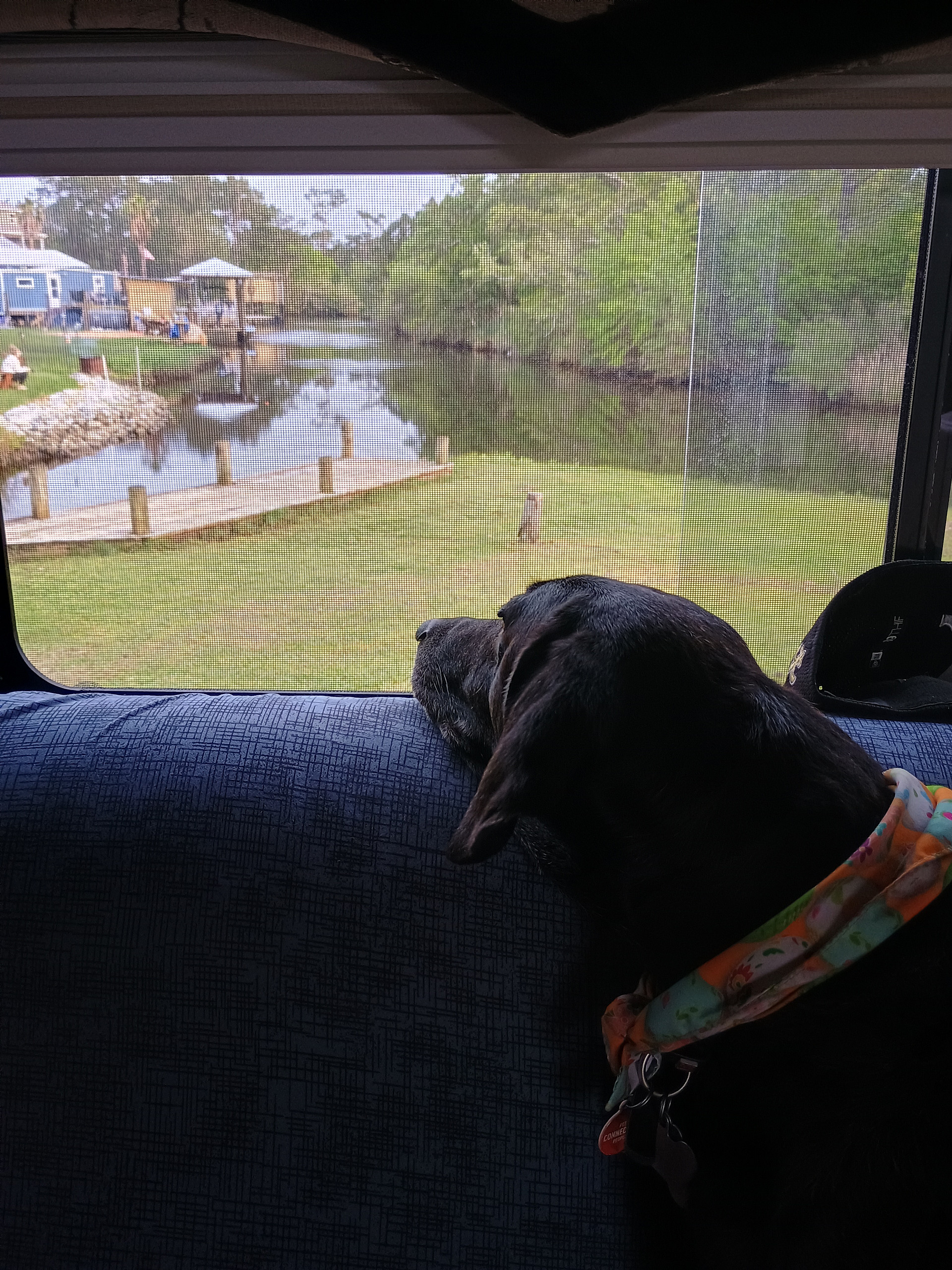Bayou Peninsula