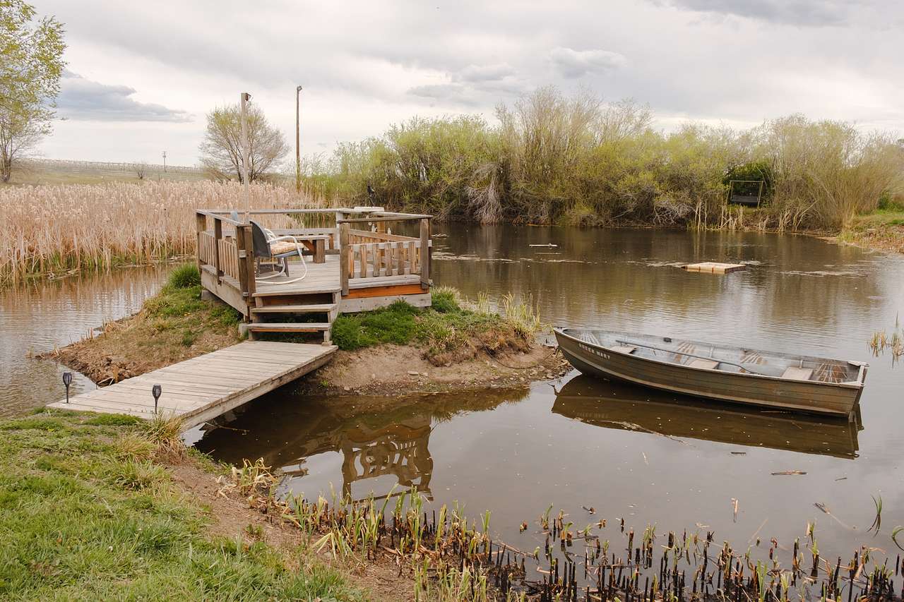 Your private little island and boat to explore the pond.