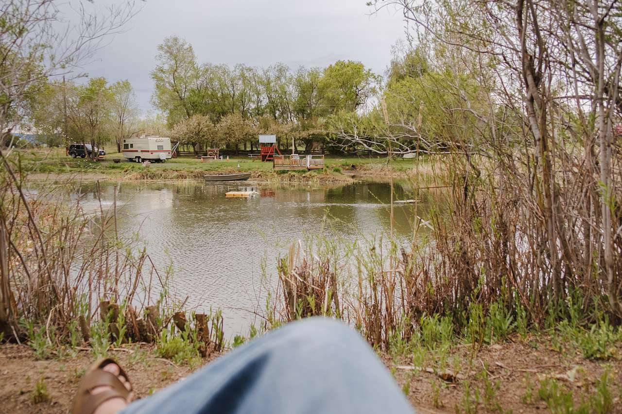 The swing on the other side of the pond is the perfect place to enjoy the peace and quiet. 