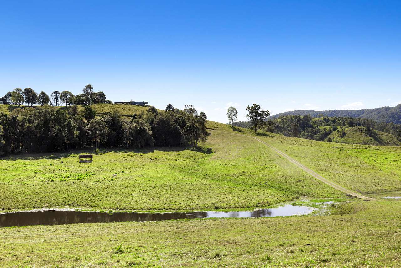 Road view of property