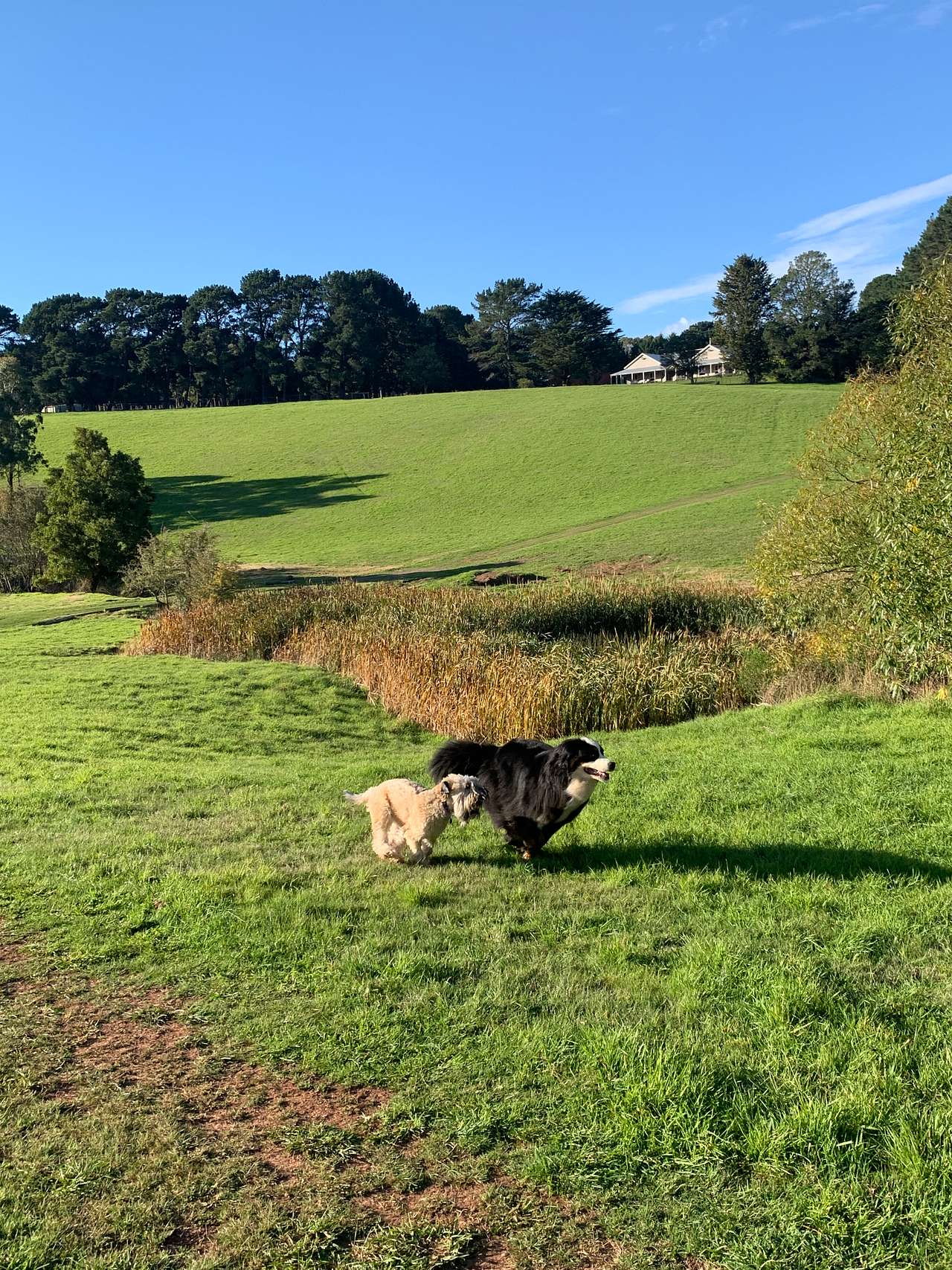 Book A Paddock