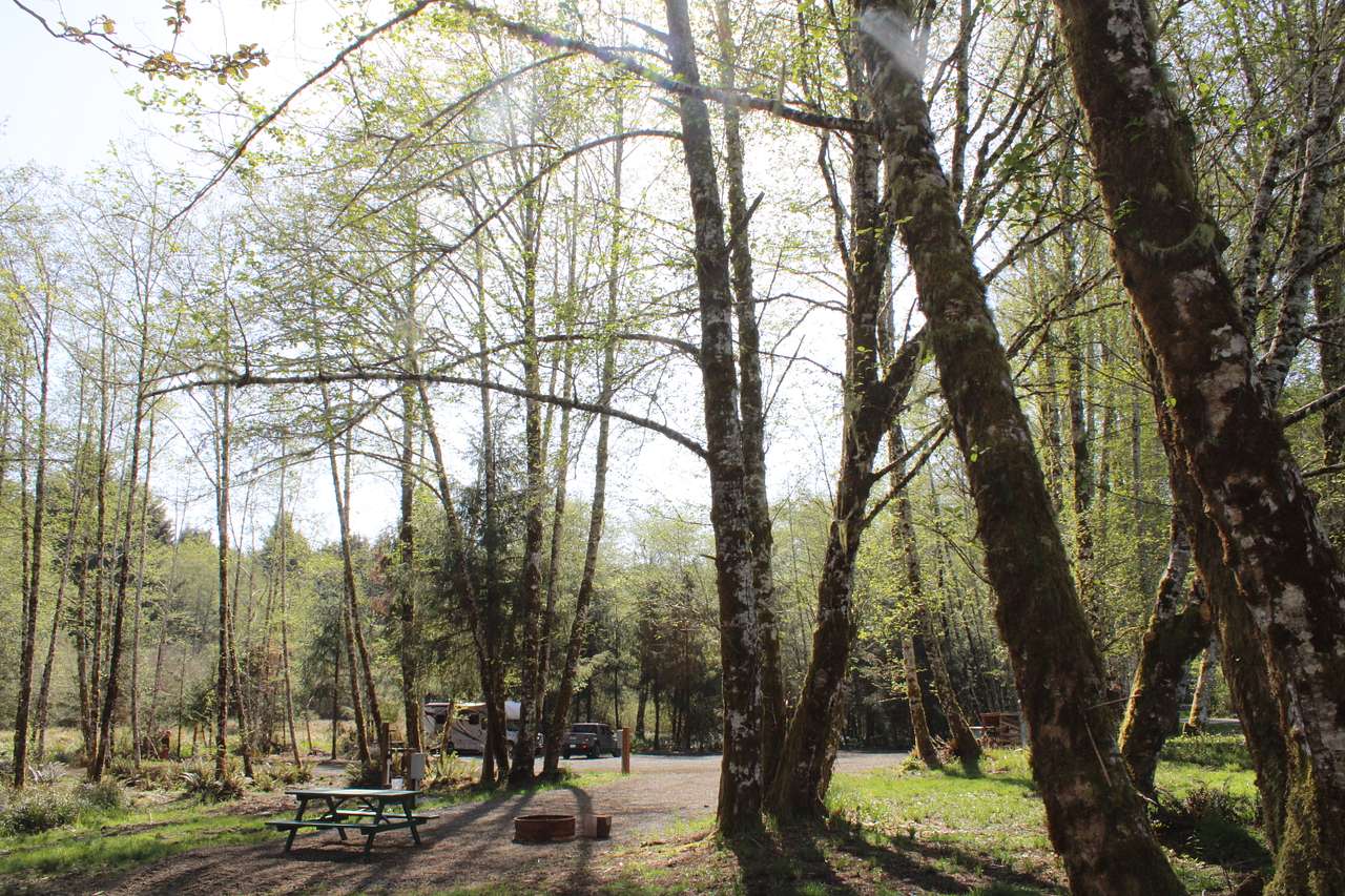 Sunny morning at RV Site #1