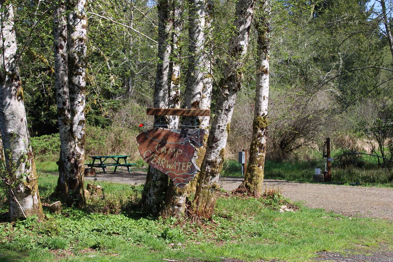 Camp Clearwater