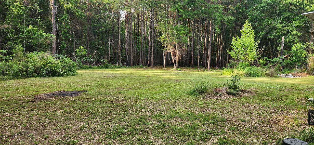 Piney Woods Camp