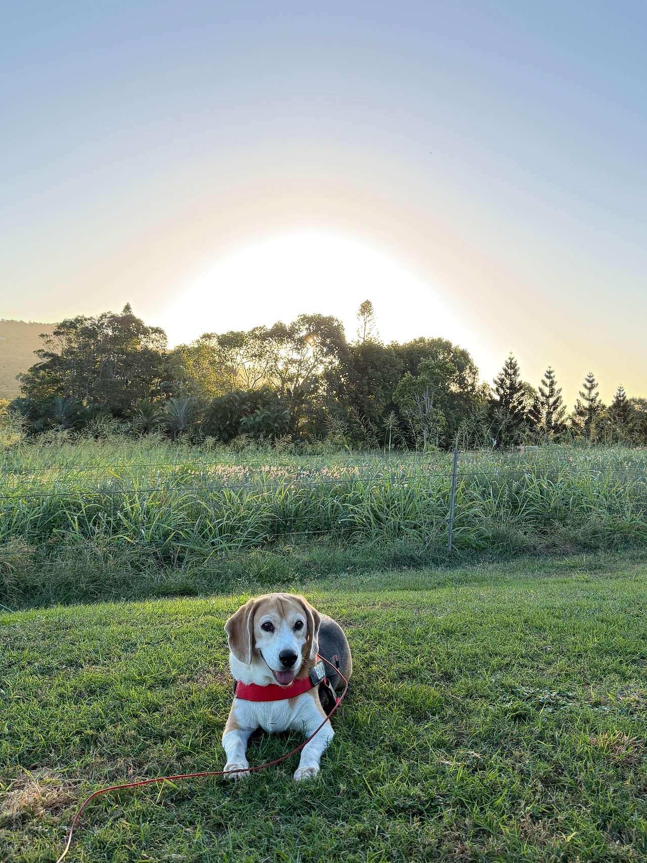 Yeppoon Farmstay