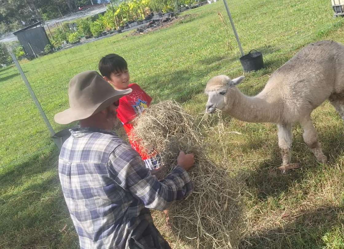 VietJess Farm