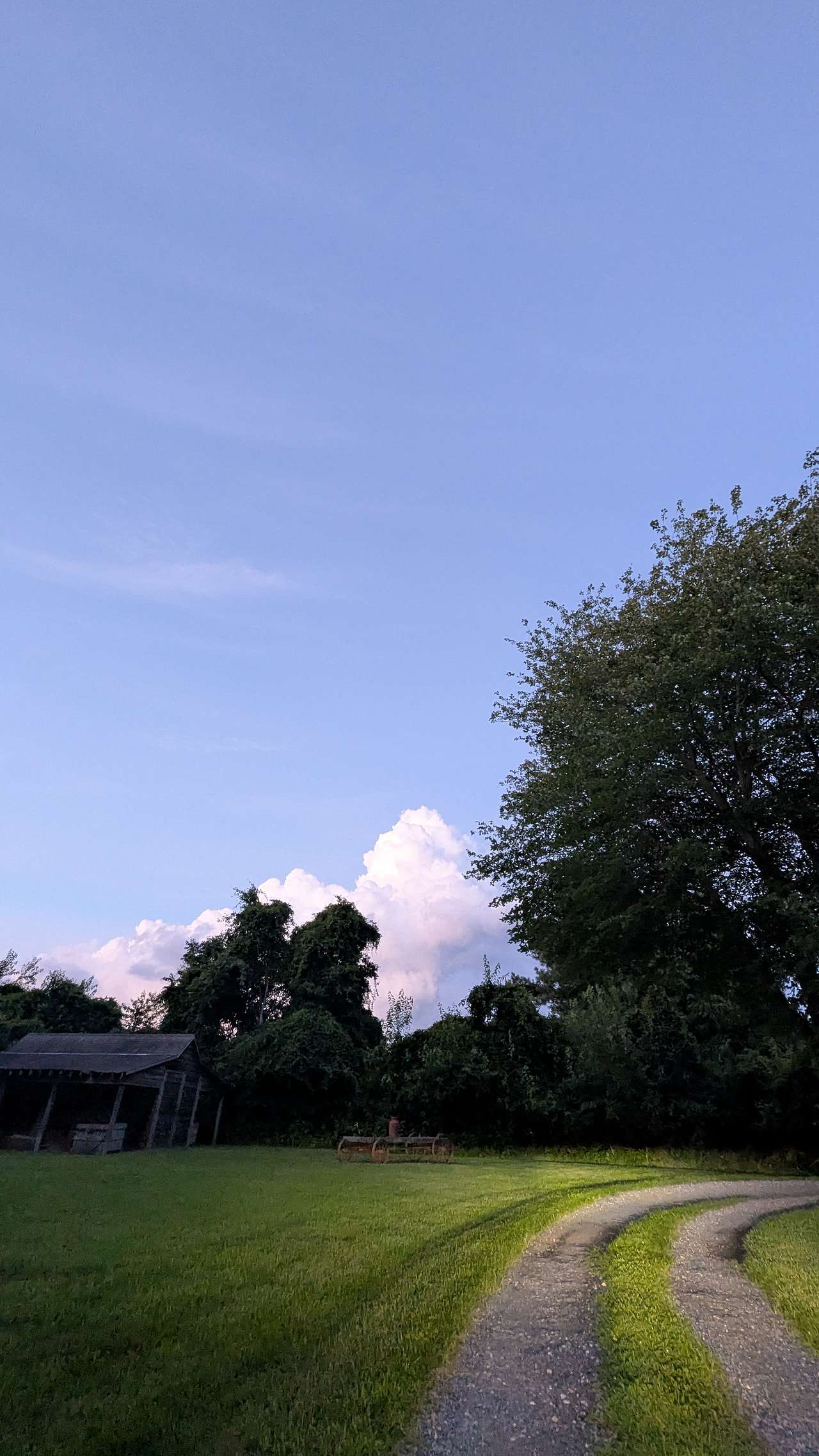 Mulberry Lane