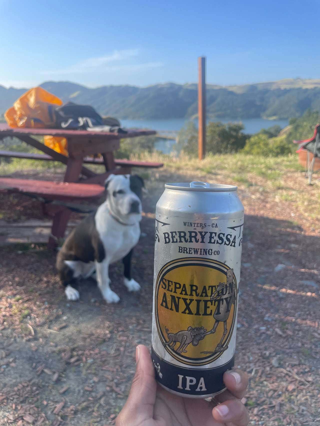 Good puppies welcome