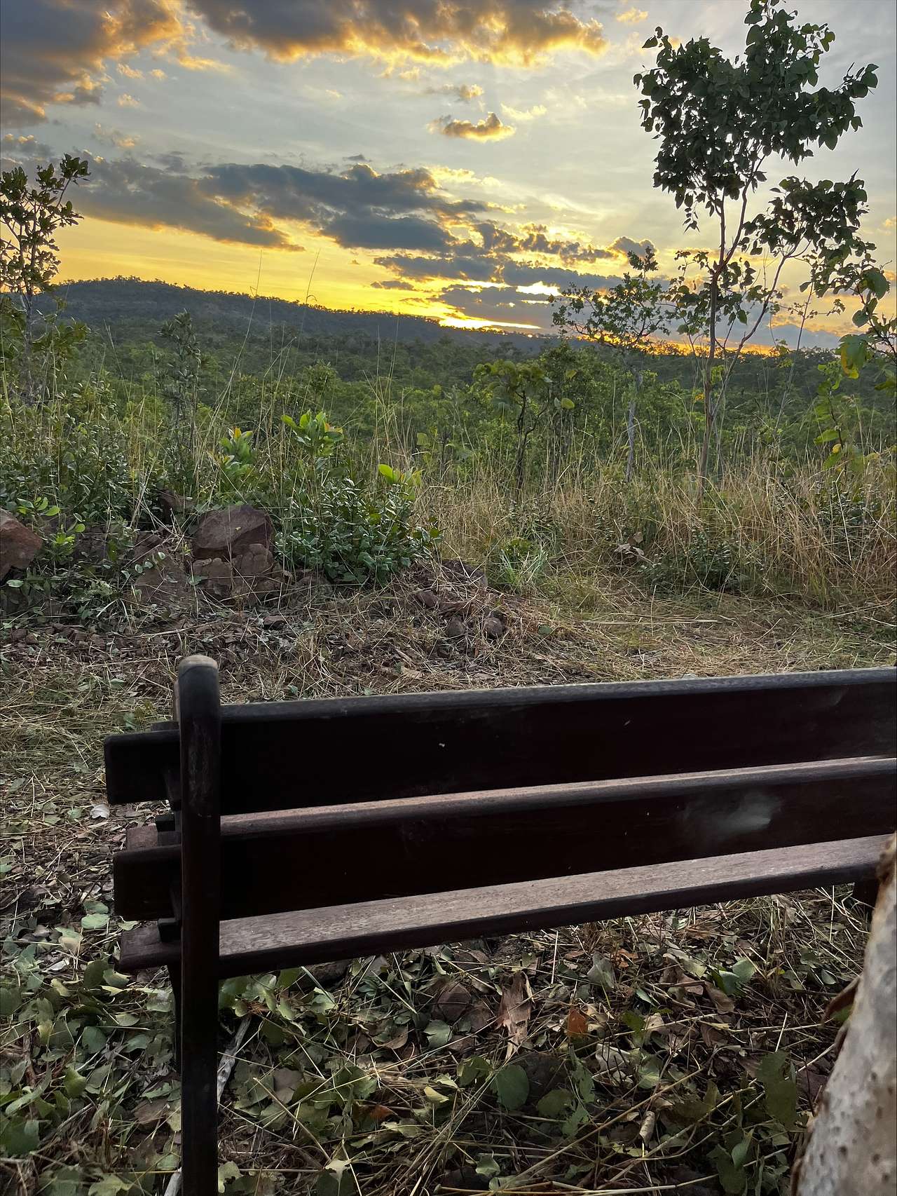 Anniversary Ridge Wilderness Park
